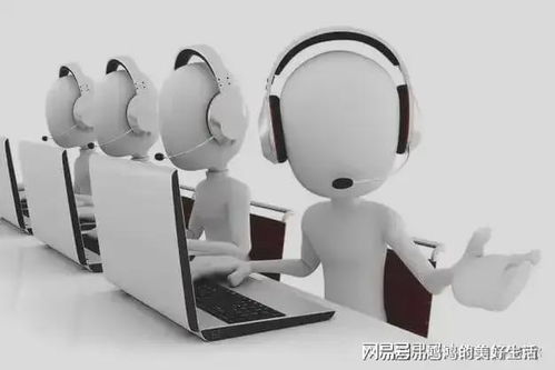 芸豆花官网客服服务体系升级，提供全方位用户信息咨询服务